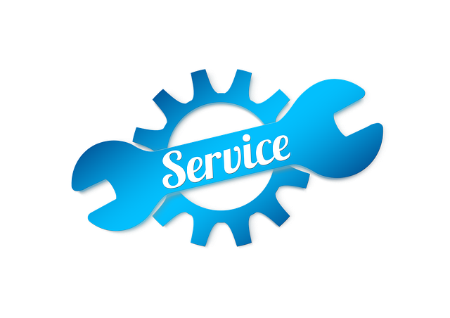 Tree Care Services