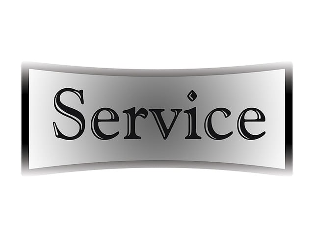 Tree Care Services