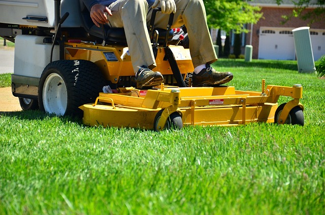 Tree Care Services