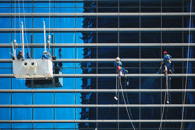 tree-care-services-640x480-58722675.jpeg