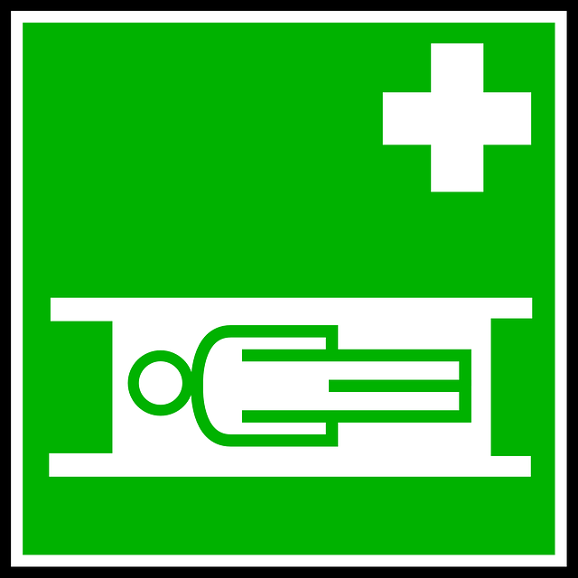 Tree Care Services