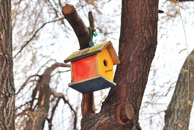 Tree Care Services