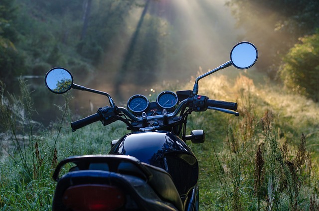 Vehicle Insurance