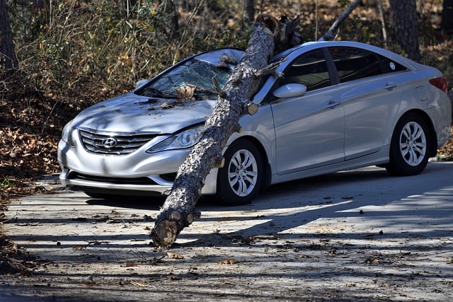 Vehicle Insurance