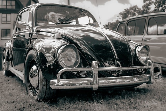 Vehicle Insurance