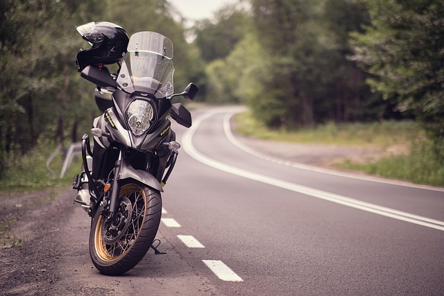 Vehicle Insurance