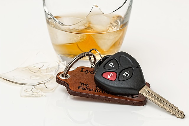 Vehicle Insurance