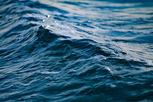 water-mitigation-640x480-12264876.jpeg