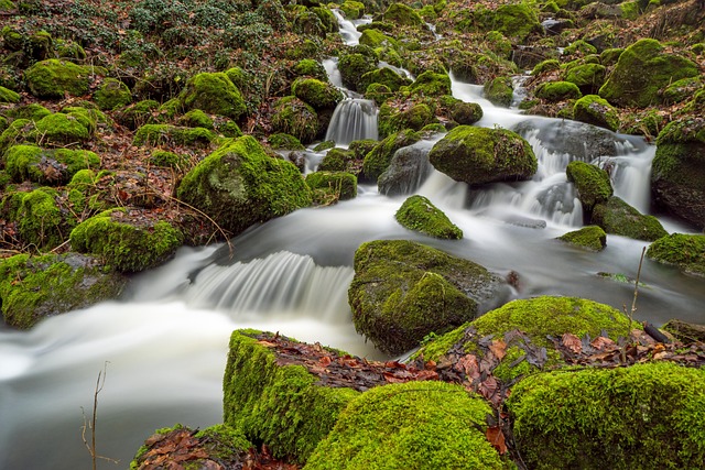 Water mitigation