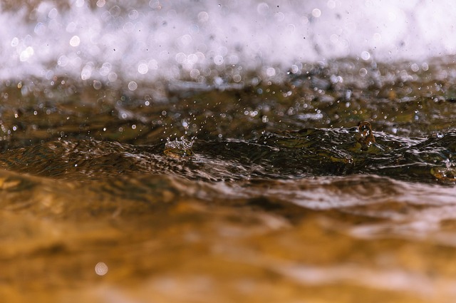 Water mitigation