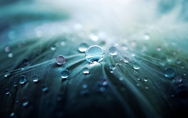 Water mitigation