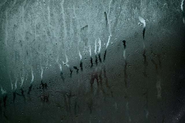 water-mitigation-640x480-88433300.jpeg