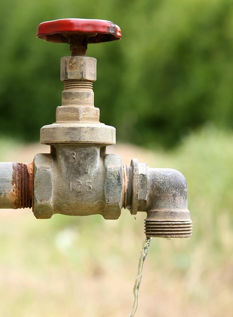 Commercial Plumbing