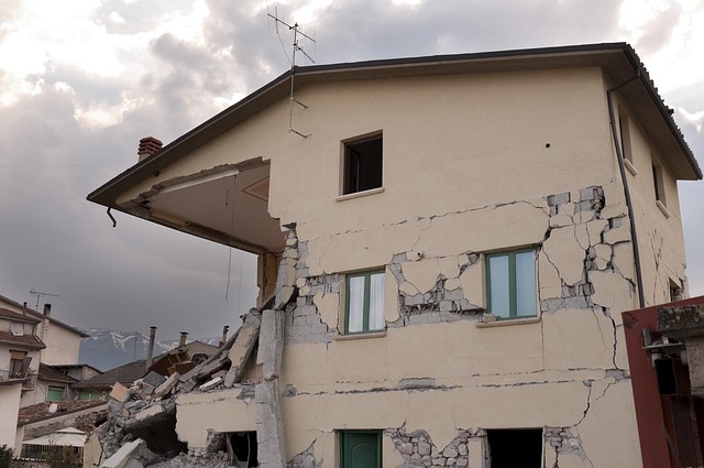 Disaster Reconstruction