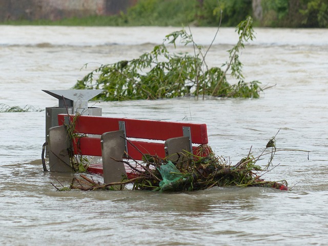 Disaster Reconstruction