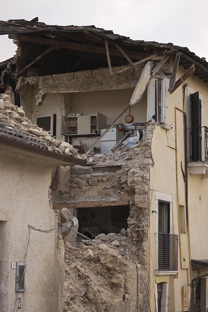 Disaster Reconstruction
