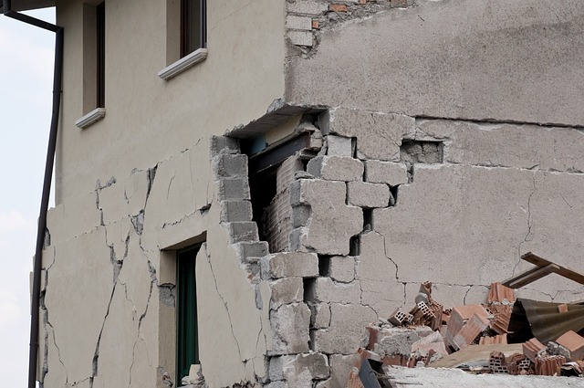 Disaster Reconstruction