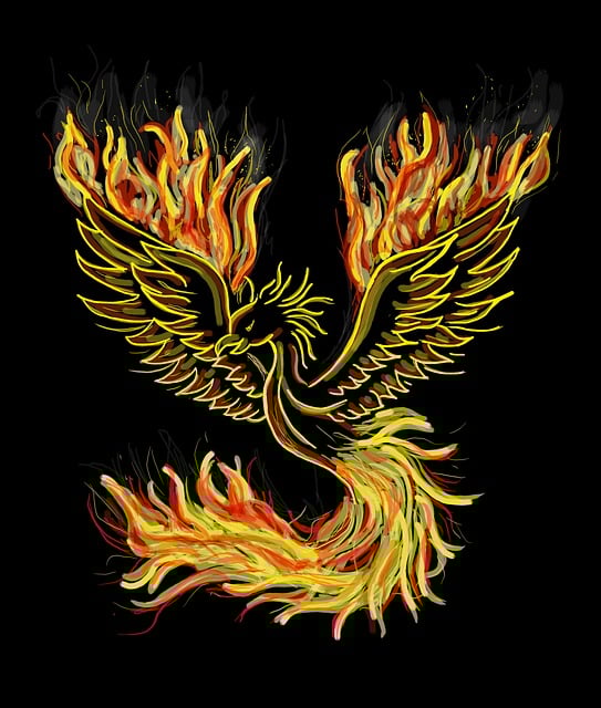 Fire Restoration