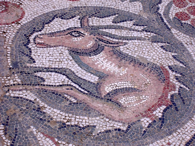 Fire Restoration