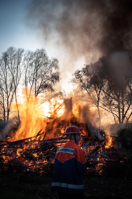 Fire Restoration