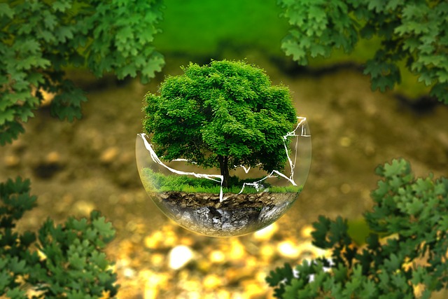 Identity Protection Insurance