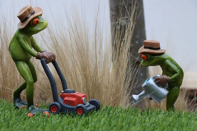 lawn-and-plant-640x480-19297872.jpeg
