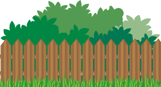 lawn-and-plant-640x480-50187926.png
