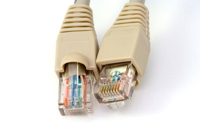 lead-testing-640x480-81088521.jpeg