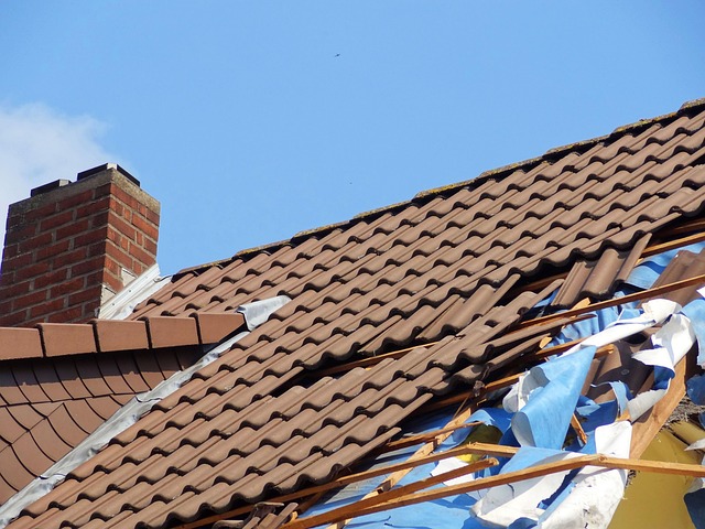 Liability Insurance