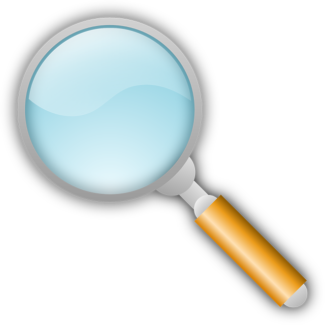 Mold Inspection