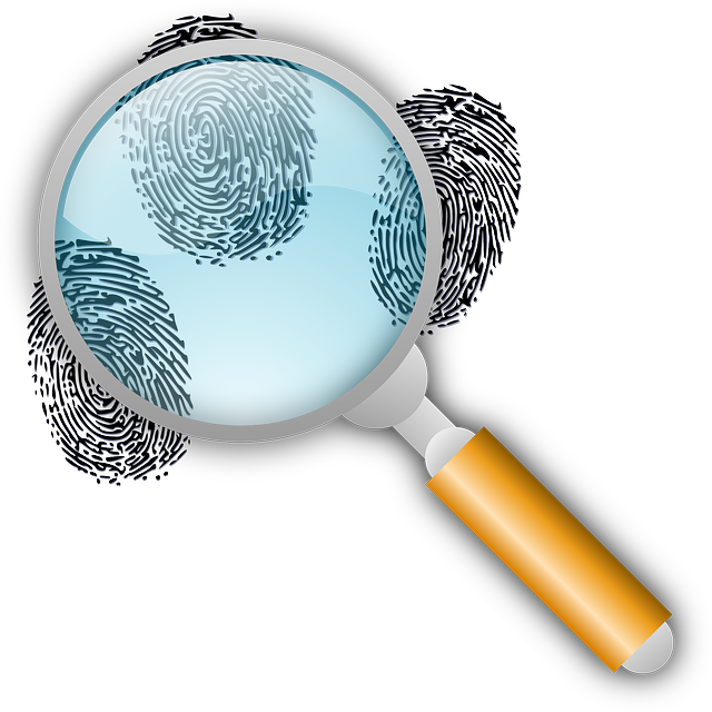 Mold Inspection