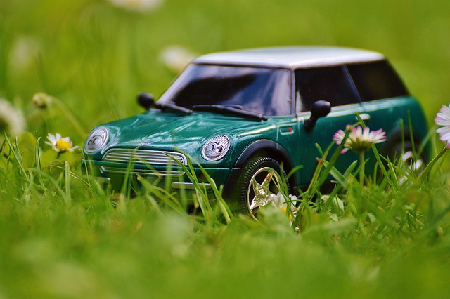 Vehicle Insurance