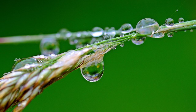 Water mitigation