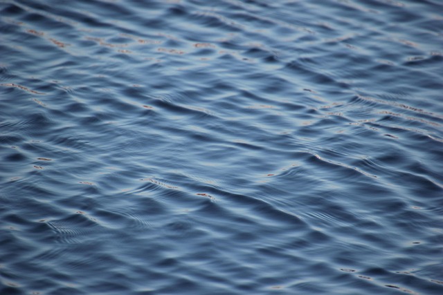 Water mitigation