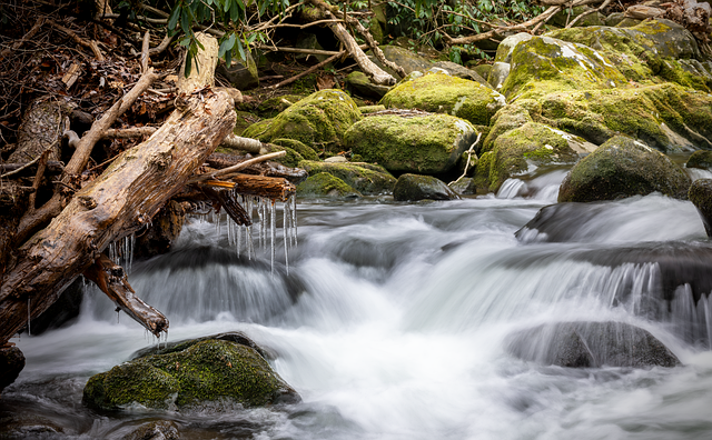 Water mitigation
