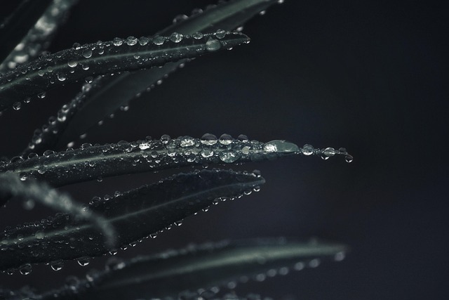 water-mitigation-640x480-83596522.jpeg