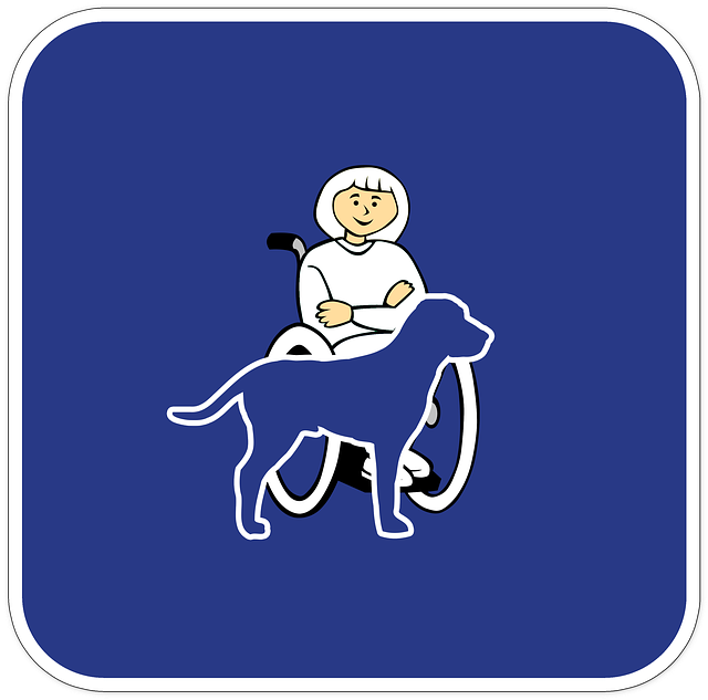 Disability Insurance