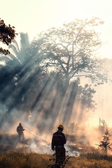 Fire Restoration