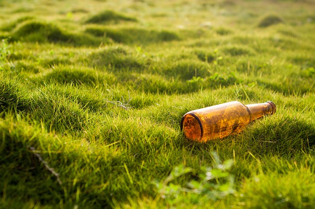 lawn-and-plant-640x480-14182332.jpeg