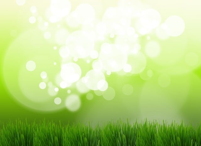Lawn and Plant