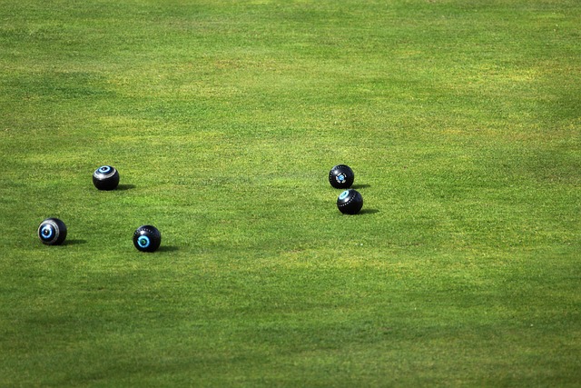 lawn-and-plant-640x480-41856139.jpeg