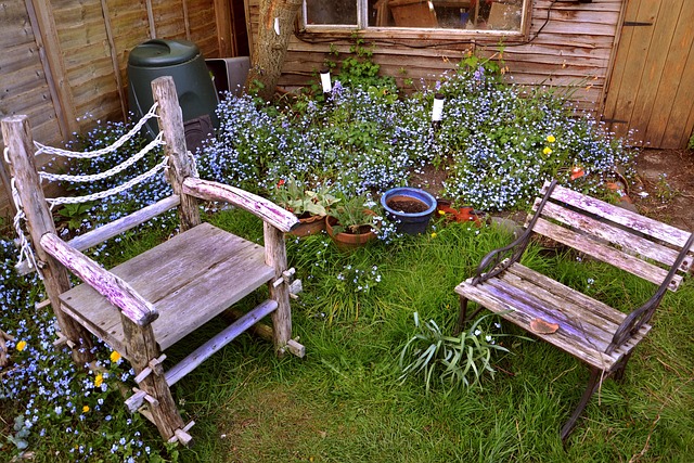 Lawn and Plant
