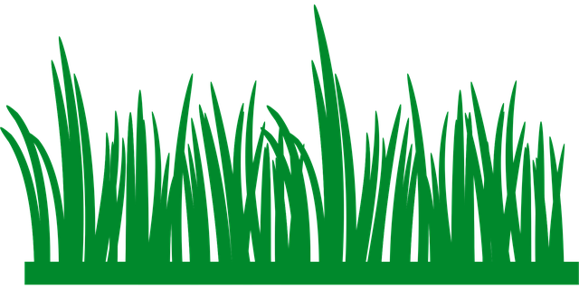 lawn-and-plant-640x480-67550779.png