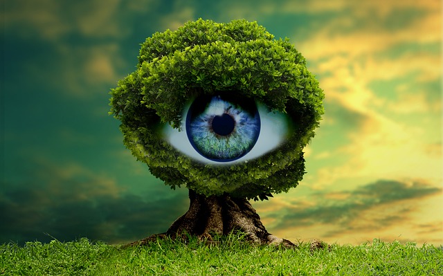 lawn-and-plant-640x480-96488723.jpeg