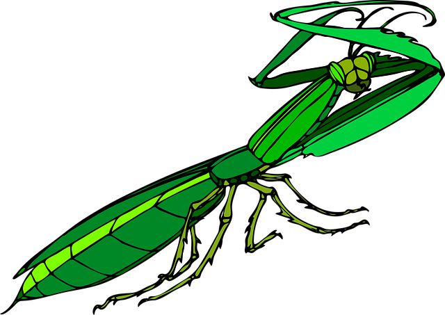 Pest Control