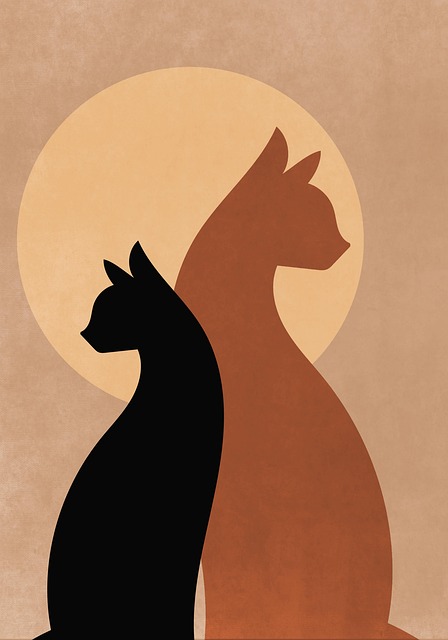 Pet Insurance