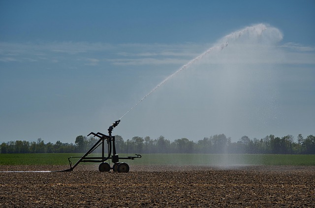 Backflow System