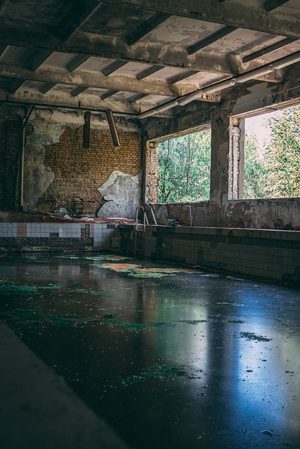 Disaster Reconstruction