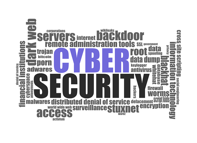 Identity Protection Insurance