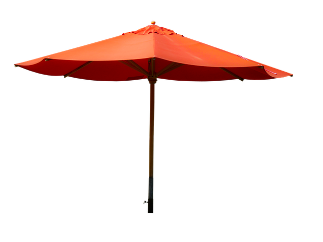 Identity Protection Insurance